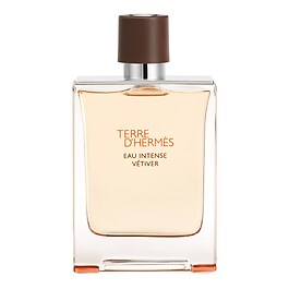 Terre d'Herm&egrave;s Eau Intense V&eacute;tiver - Parf&eacute;mov&aacute; voda