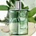 H24 Herbes Vives , Eau de Parfum