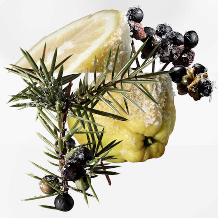 Terre d'Hermès Eau Givrée, Recharge Parfum