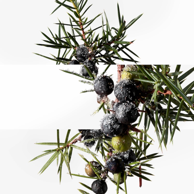 Terre d'Hermès Eau Givrée, Recharge Parfum