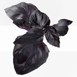 The product image is missing!