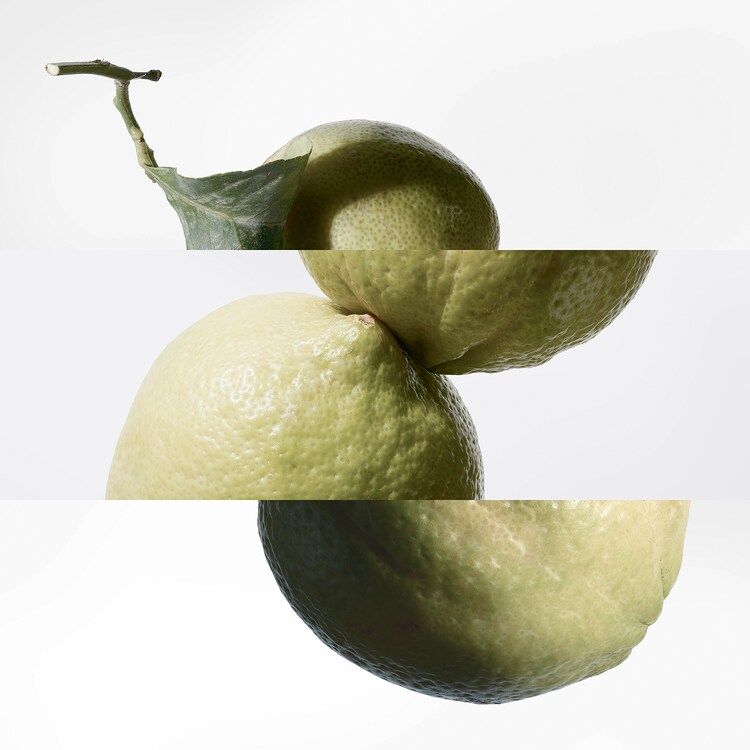 Eau de Basilic Pourpre - Eau de Cologne