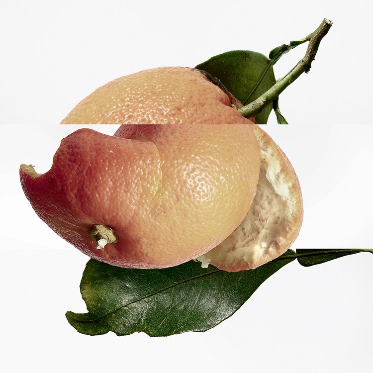 Eau des Merveilles - Eau de Toilette