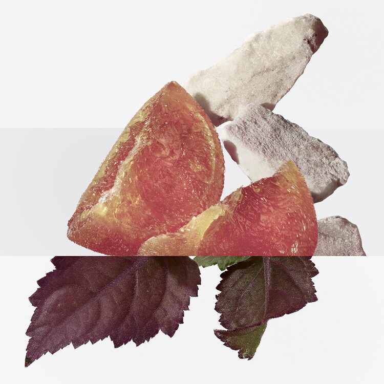 Élixir des Merveilles Eau de Parfum