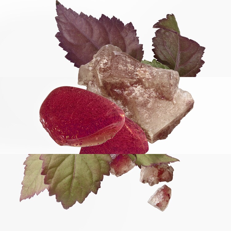 L'Ambre des Merveilles - Eau de Parfum