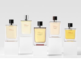 Terre d'Herm&egrave;s - Parfum