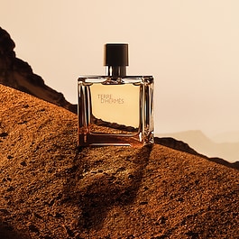 Terre d'Herm&egrave;s - Parfum