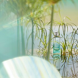 Un Jardin sur le Nil - Eau de Toilette