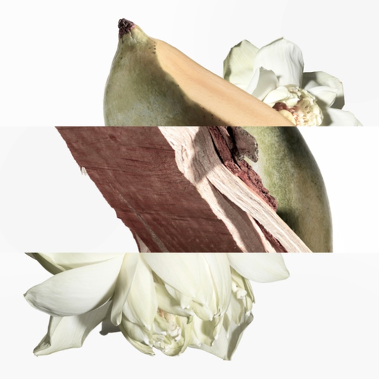 Un Jardin sur le Nil - Eau de Toilette