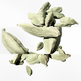 Un Jardin après la Mousson - Eau de Toilette