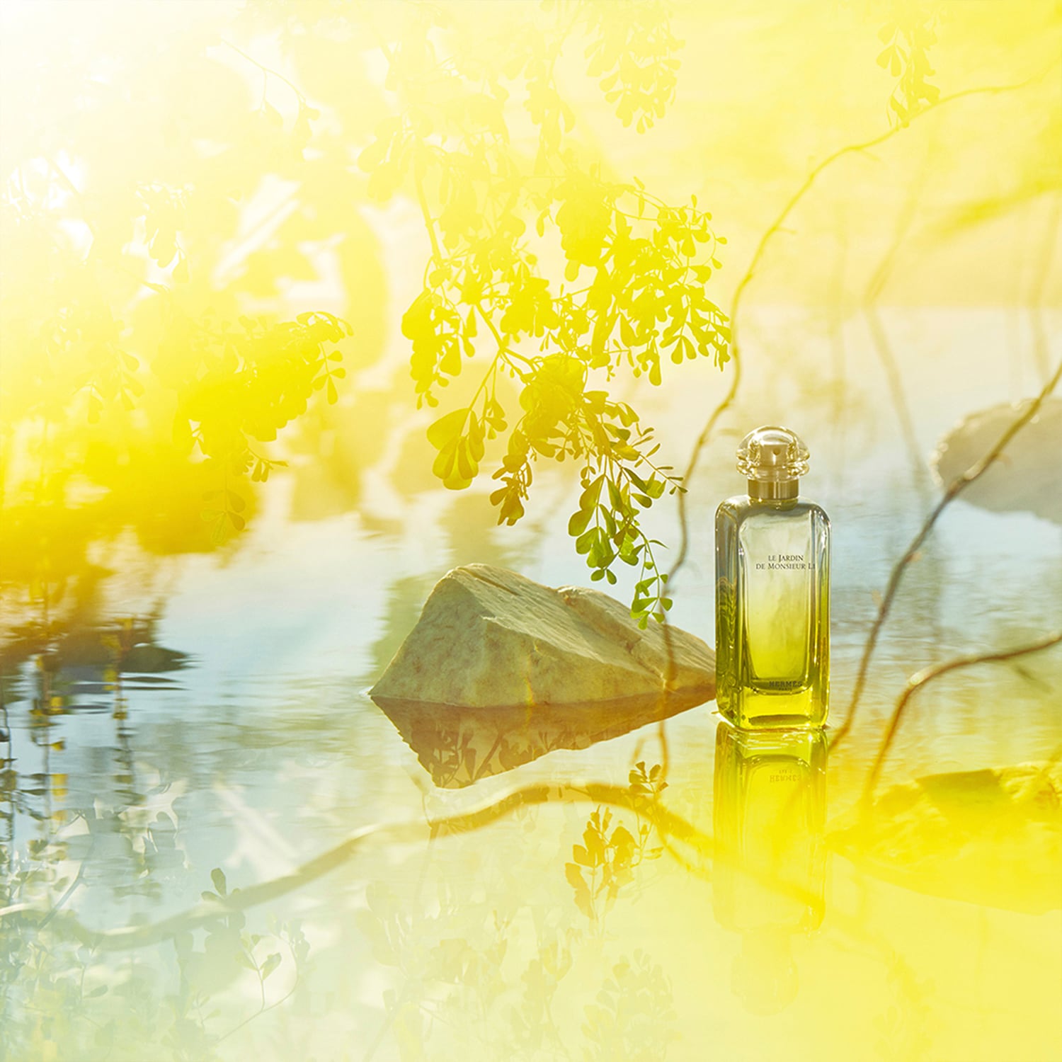 エルメス 李氏の庭 100ml Le jardin de monsieur Le Jardin de Monsieur Li Eau de toilette - 100 ml | Hermès