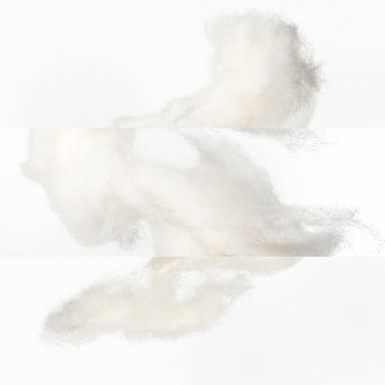 Eau de rhubarbe écarlate - Eau de Cologne