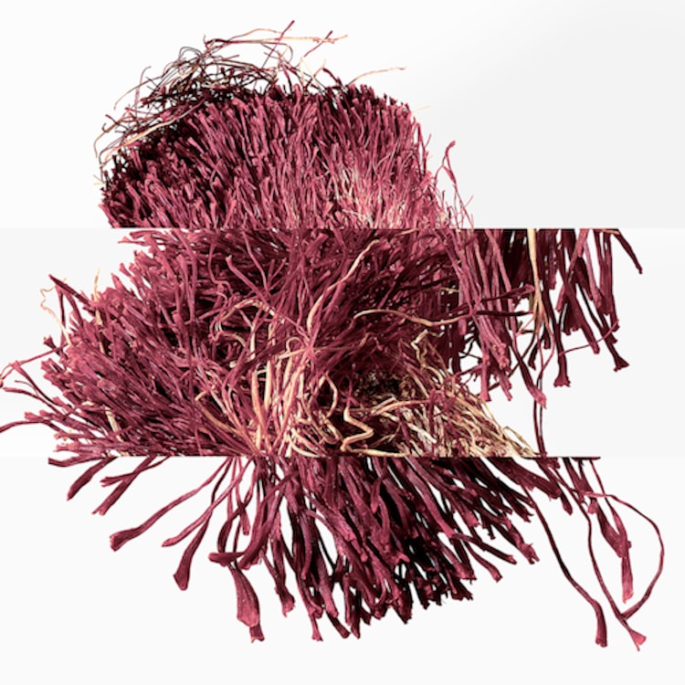 Eau de néroli doré - Eau de Cologne