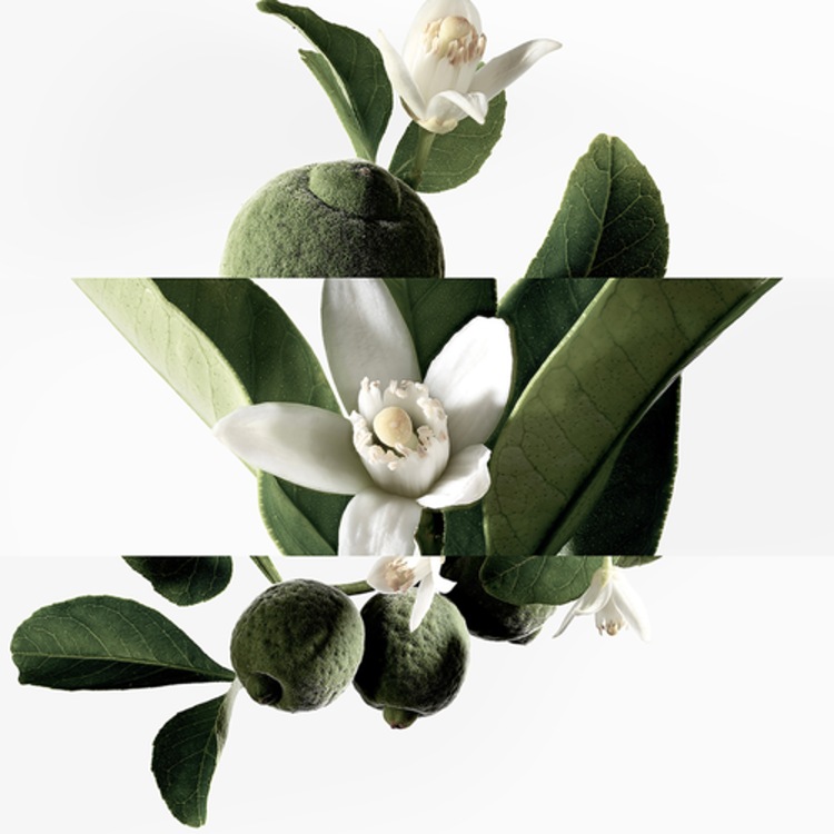 Eau de néroli doré - Eau de Cologne