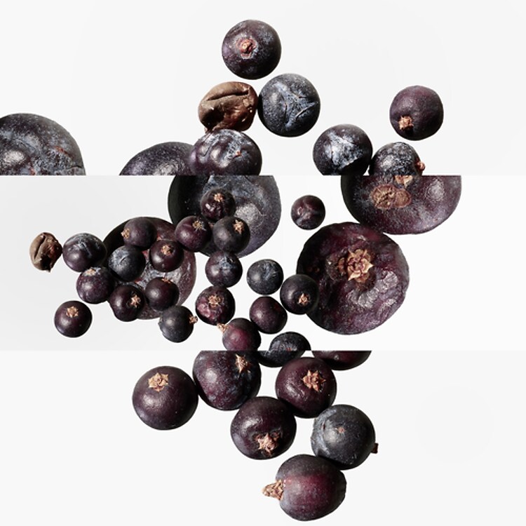 Eau des Merveilles Bleue - Eau de Toilette