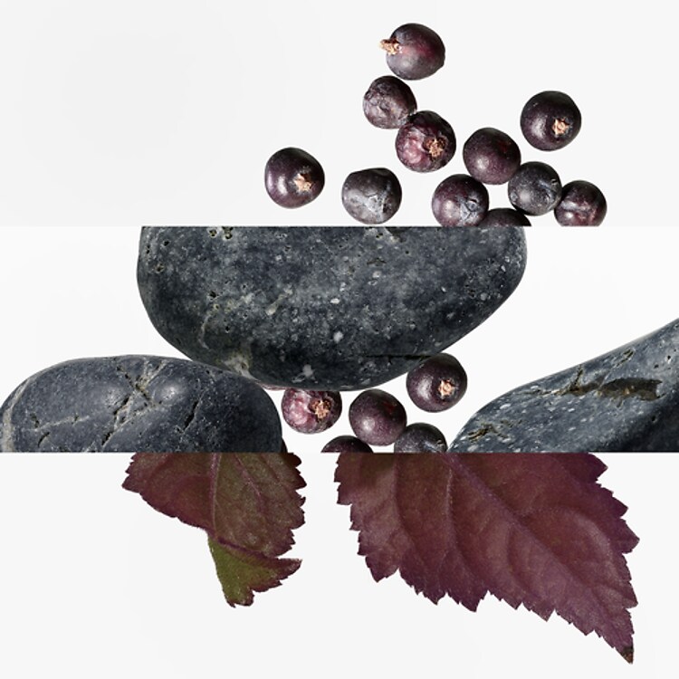 Eau des Merveilles Bleue - Eau de Toilette