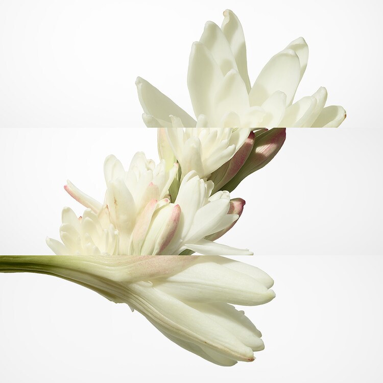 Twilly d'Hermès - Eau de Parfum