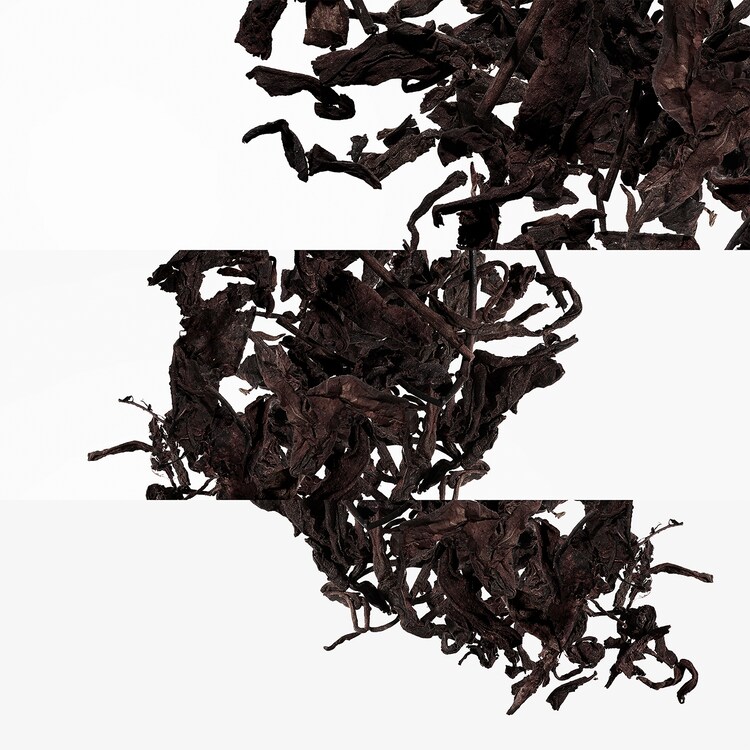 Eau de Citron Noir - Eau de Cologne