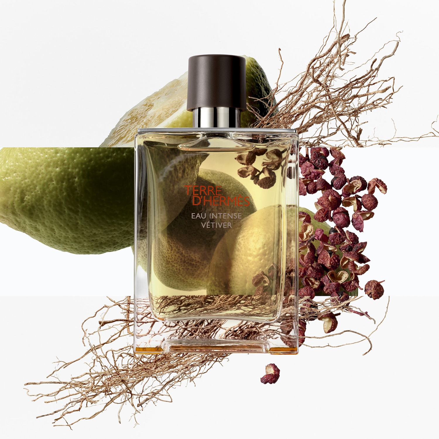 Terre d'Hermès Eau Intense Vétiver - Eau de parfum | Hermes ≡ SEPHORA