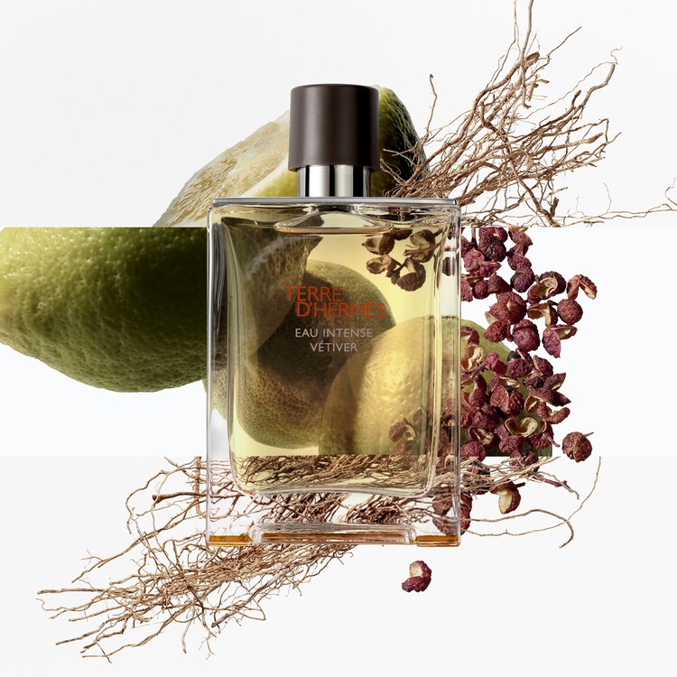 Terre d'Hermès Eau Intense Vétiver - Eau de parfum Recarga