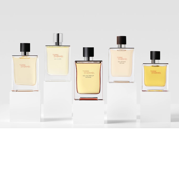 Terre d'Hermès Eau Intense Vétiver - Eau de parfum Recarga