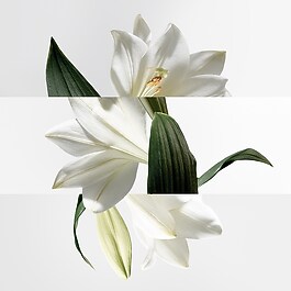 Un Jardin sur la Lagune - Eau de Toilette
