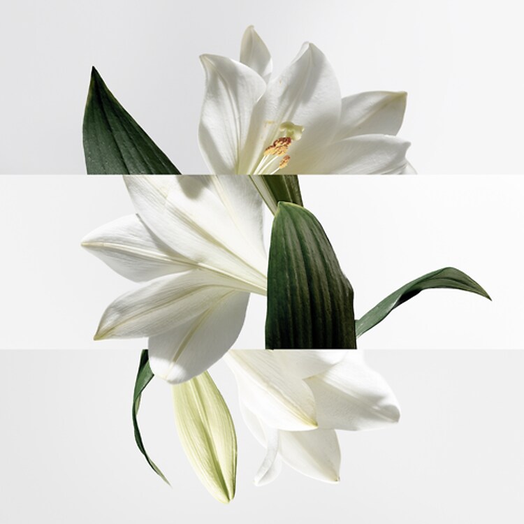 Un Jardin sur la Lagune - Eau de toilette