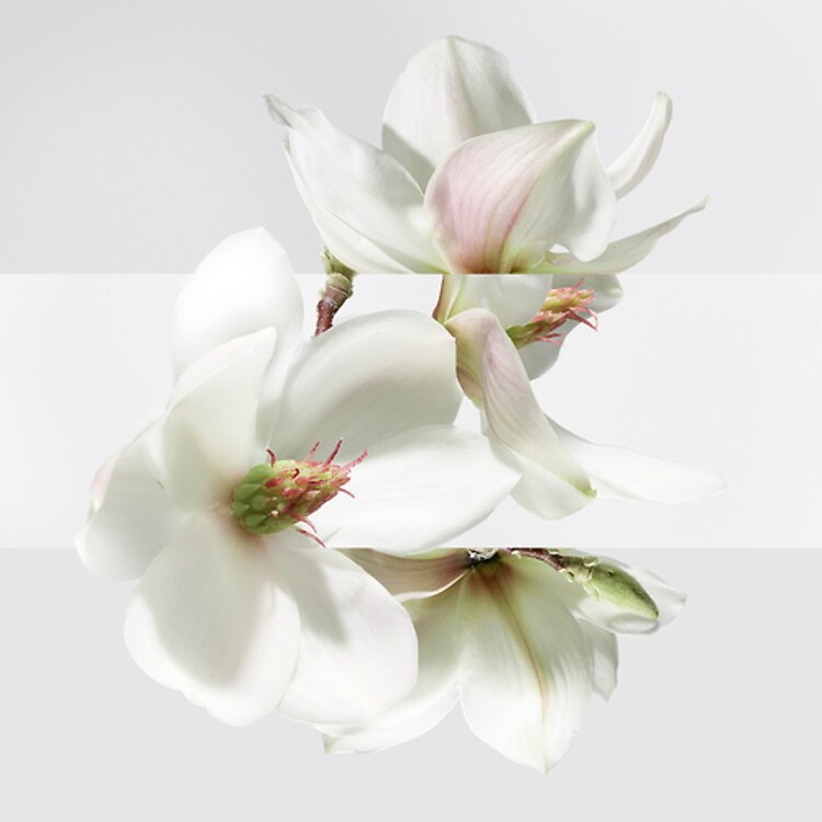 Un Jardin sur la Lagune - Eau de toilette