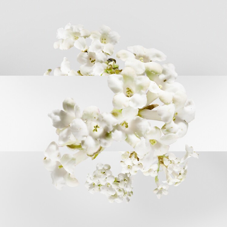 Un Jardin sur la Lagune - Eau de toilette