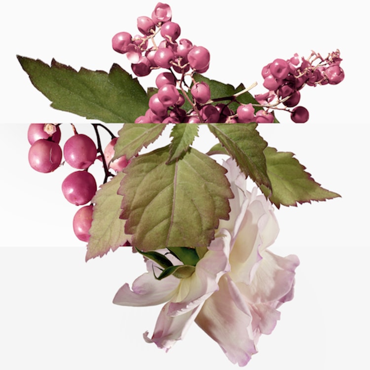 Twilly d'Hermès Eau Poivrée - Eau de Parfum