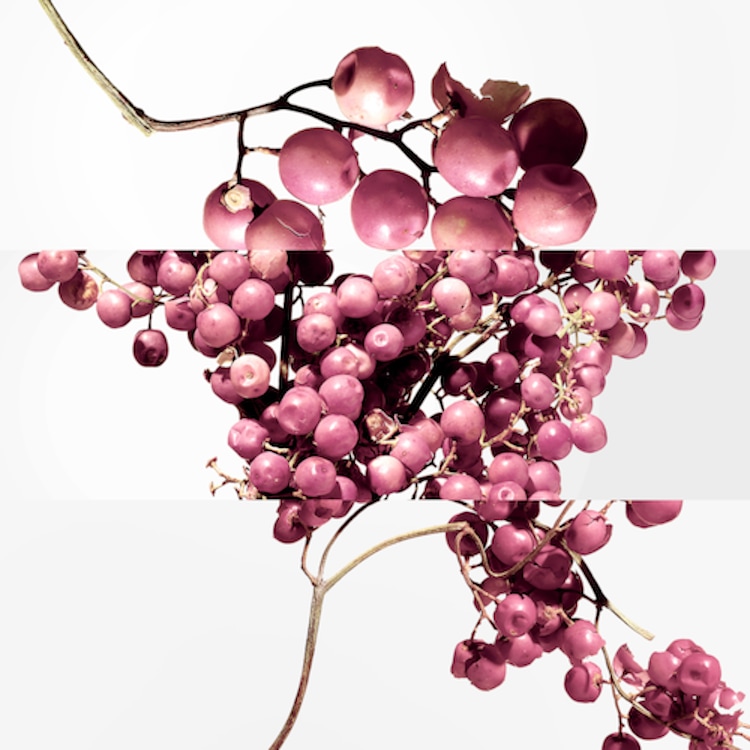 Twilly d'Hermès Eau Poivrée - Eau de Parfum