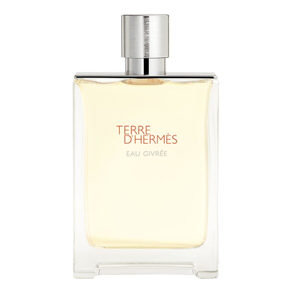 Terre d’Hermès Eau Givrée - Eau de Parfum, Hermes