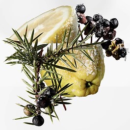 Terre d'Hermès Eau Givrée - Eau de Parfum