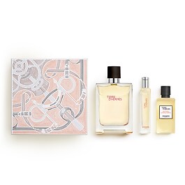 Terre d'Hermès - Set Apa de toaleta
