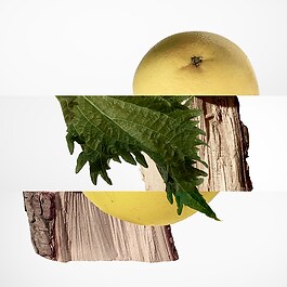 Terre d'Hermès - Parfum