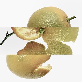 Eau d'orange Verte - Eau de Cologne