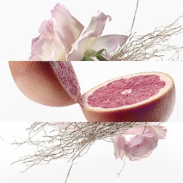 Concentré de pamplemousse rose - Eau de Toilette