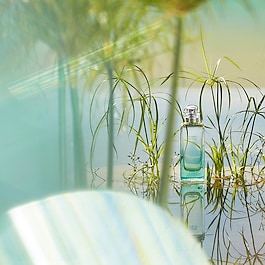 Un Jardin sur le Nil - Eau de toilette