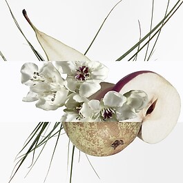 Un Jardin sur le Toit - Eau de Toilette