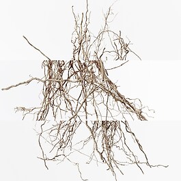 Terre d'Hermès Eau Intense Vétiver - Eau de parfum