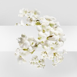 Un Jardin sur la Lagune - Eau de toilette
