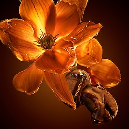 BOSS The Scent Intense For Her - Parf&eacute;mov&aacute; voda