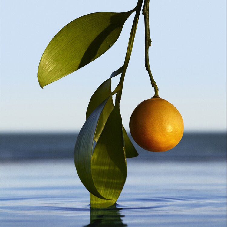 Coffret Boss Bottled - Eau de Toilette