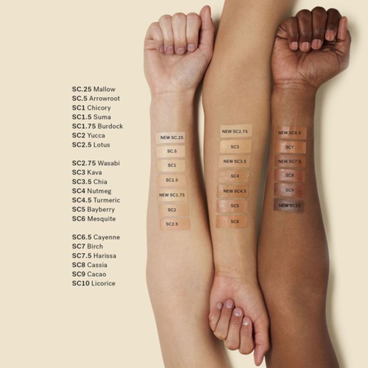 True Skin Serum Concealer - Correcteur