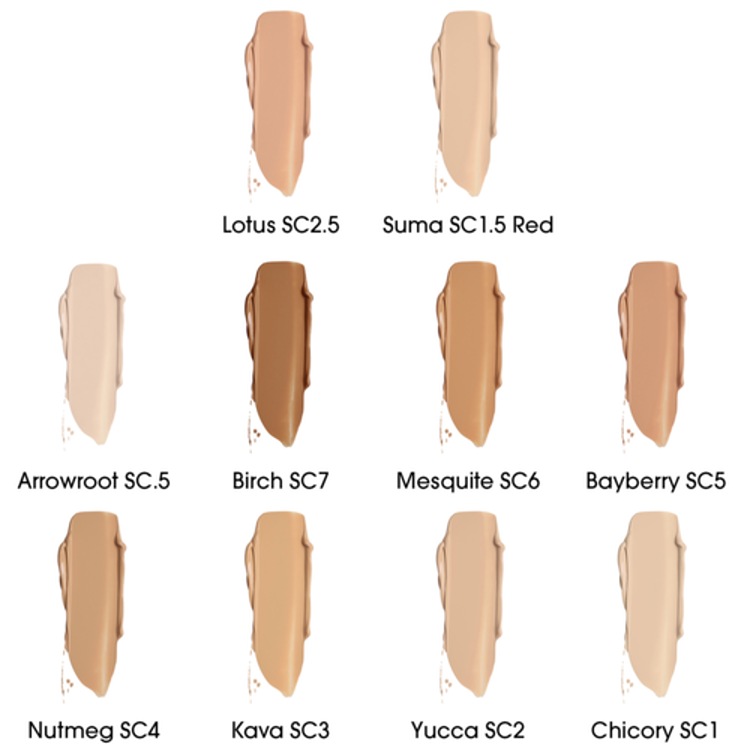 True Skin Serum Concealer - Correcteur