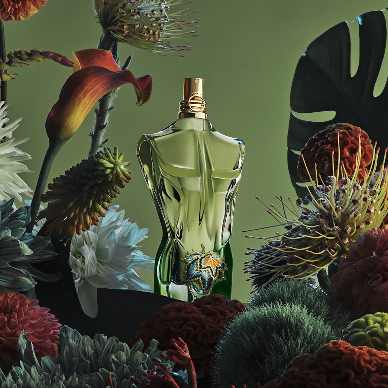 香水(男性用) Jean Paul Gaultier Paradise Garden 125ml Amazon | Jean Paul Gaultier Le Beau Paradise Garden