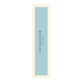 Wood Sage & Sea Salt - Spray Da Viaggio