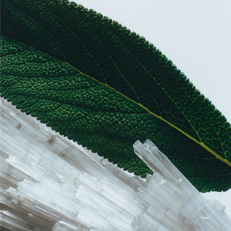 Wood Sage & Sea Salt - Cologne - Format voyage