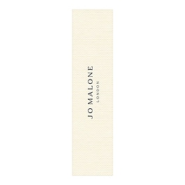 Wood Sage & Sea Salt - Cologne