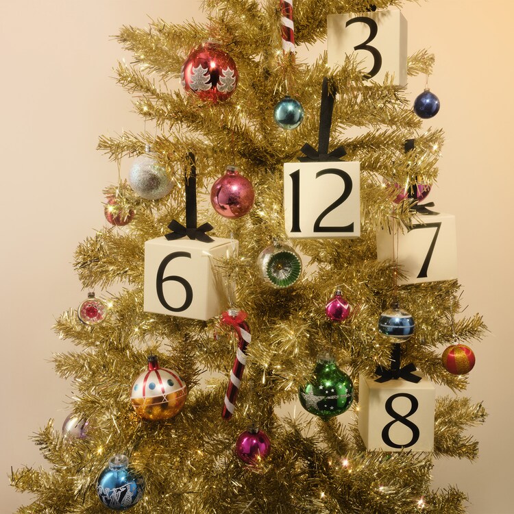 Cologne Intense - Trio